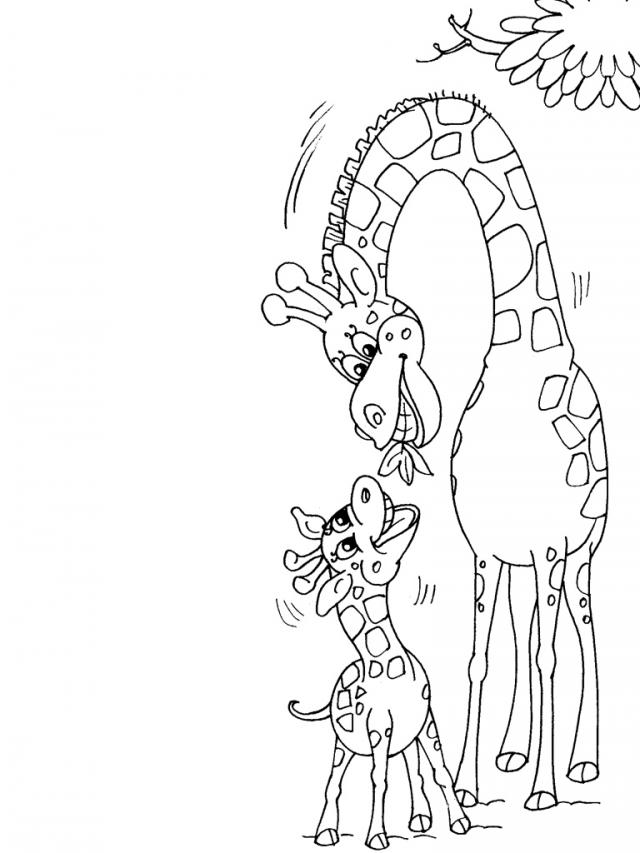 Giraffe Family - Kolorowanka do Druku dla Dzieci kolorowanka do druku